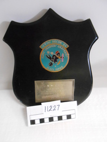 Plaque, Shield