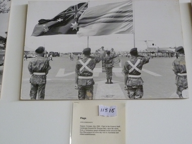 Photograph, Flags, 1/07/1969 12:00:00 AM