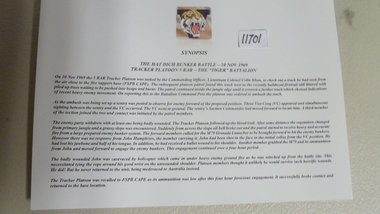 Poster, Synopis