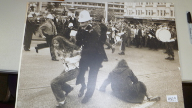 Photograph
