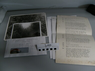 Photograph