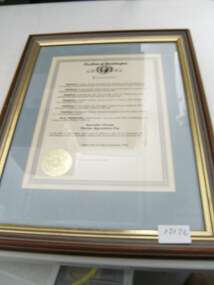 Document, Australian Vietnam Veterans Appreciation Day, 11/09/1992 12:00:00 AM