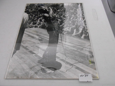 Photograph