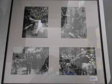 Photograph, Enemy Engagement