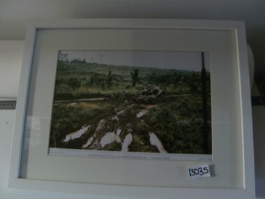 Photograph