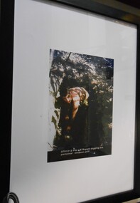 Photograph