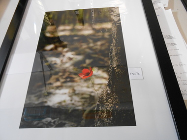 Photograph, In Memory
