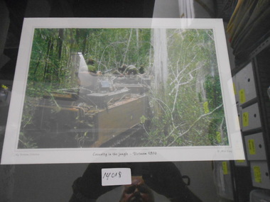 Photograph, Casualty in the Jungle - Vietnam 1970, 1970