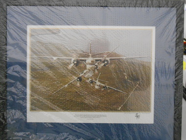 Photograph, 3 Grumman Tracker