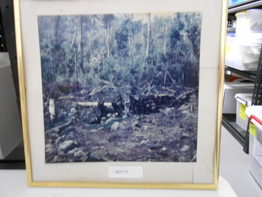 Photograph, Jungle Camp