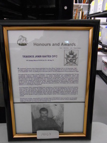 Document, Terence John Hayes DFC