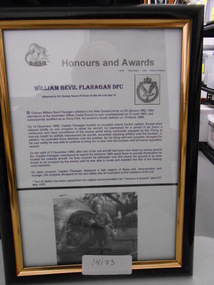 Document, William Bevil Flanagan DFC
