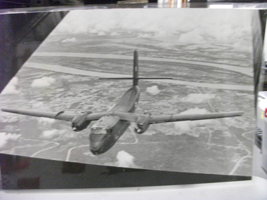 Photograph, Caribou in Flight