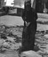 A photograph of a young Vietnamese woman lighting incense in remembrance of members of her extended family following the opening of mass graves around Hue