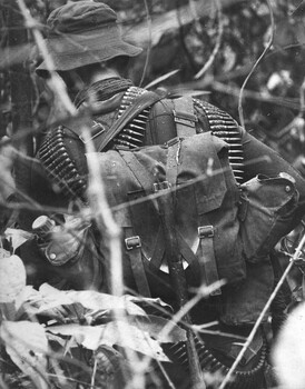 A photograph of a 7 Platoon, Charlie Company, 4th Battalion/New Sealand (ANZAC), Royal Australian Regiment, on Operation Federal. 