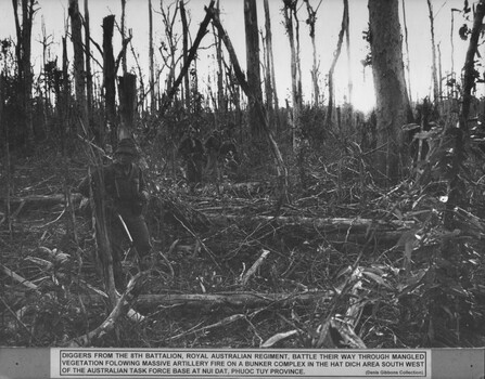 A photograph of diggers from 8th Battalion, Royal Australian Regiment, battle their way through mangled vegetation following massive artillery fire on a bunker complex. 