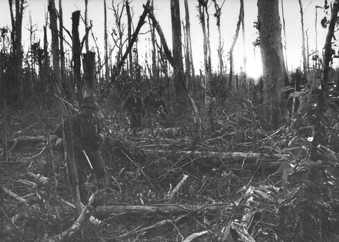 A photograph of diggers from 8th Battalion, Royal Australian Regiment, battle their way through mangled vegetation following massive artillery fire on a bunker complex. 