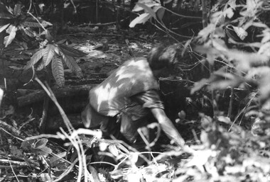 A photograph of an Engineer 'Tunnel Rat' wearing a flack jacket enters a tunnel found leading into the Long Hai Hills. 