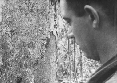 A photograph of an Australian Intellegence Interpreter attempts to decode NVA/VietCong message left carved into a tree trunk, at a  bunker complex.