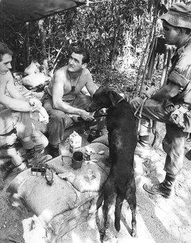 Sergeant Jurd and Pte R.W. Hunter with tracker dog 'Milo' at the Fire Support Base Peggy enjoy a quiet yarn during a break.