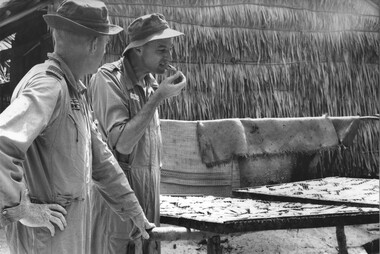 At An Thoi village market in the Mekong Delta, Co-Pilot F/Lt Blue McDonnel watches Pilot F/LT Nick Watling tries a piece of dried fish,. 