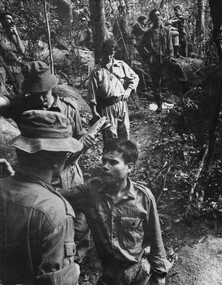 A captured NVA/VC leads Diggers of 6 RAR/NZ to another underground cache of weapons and supplies at the K76A Hospital. 