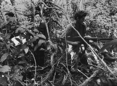 A VC patient leads Diggers of 6 RAR/NZ to another ward at the K76A Hospital removing wounded patients from the ward. 