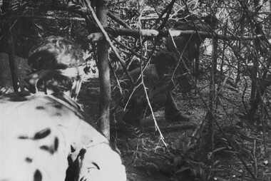 Elements of 6 RAR/NZ (ANZAC) during Operation Marsden, in contact with the NVA/VietCong forces. 