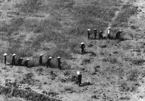 A photograph of  a local Vietnamese women of Phuoc Tuy, seen froma 161 (Indep) Recce Flight helicopter tending to their local village rice fields.  