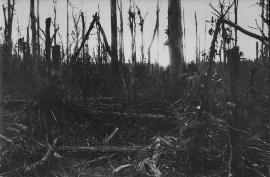 A photograph 1 RAR, operating in the Hat Dich area North West of the 1ATF Base struggle through what was once virgin thick jungle. 