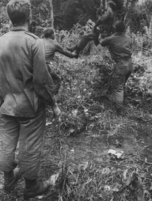 A photograph of Diggers from A Company 8 RAR steady one of their wounded mates as he is winched out of the jungle. 