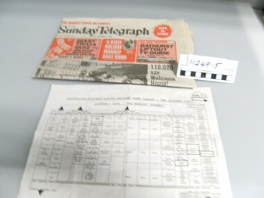 Newspaper