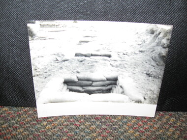 Photograph