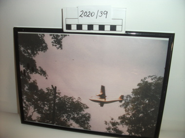 Photograph