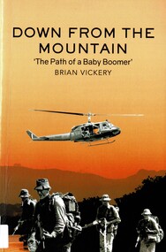 Book, Down From the Mountain: The Path of a Baby Boomer, 2020