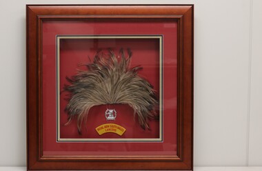 Elaborately framed emu feather plume with silver emblem badge and yellow cloth badge of Royal New South Wales Lancers.