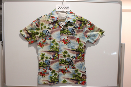 Multi coloured shirt with tropical patter commonly known as Hawaiian shirt.