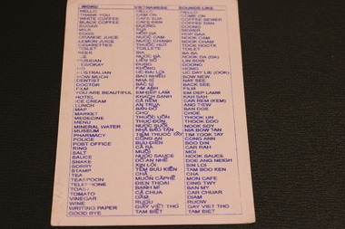 Helpful word translation card with English words, Vietnamese words and phonetic spelling to sound out Vietnamese names.