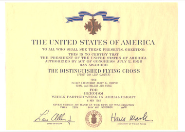 A copy of details for the United States of America award of the Distinguished Flying Cross