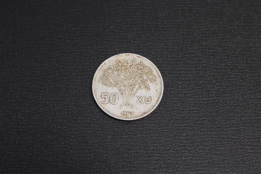 A 50xu Vietnamese aluminum coin.