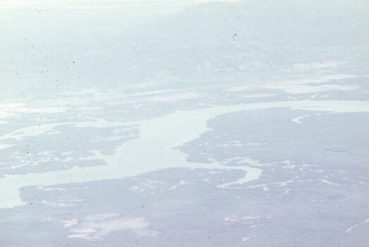 Ariel view of jungle and river.