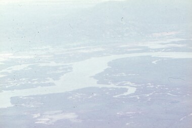 Ariel view of jungle and river.