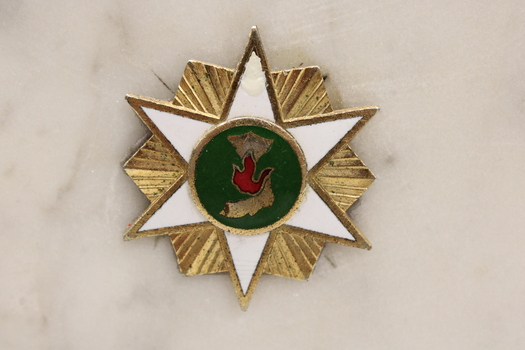 Vietnam Star