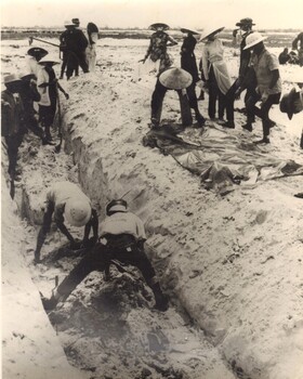 1968 Tet Massacre: Hue, Mass Murder, Mass Burial