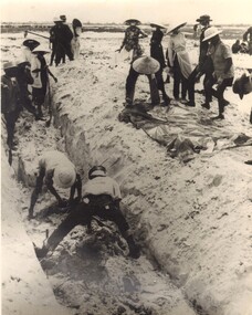 1968 Tet Massacre: Hue, Mass Murder, Mass Burial