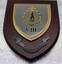 Royal Australian Regiment V111 plaque