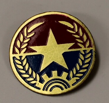 Cirucular badge with vietnamese star in the centre.