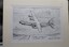 Black pencil drawing of an an aircraft. C-130E
