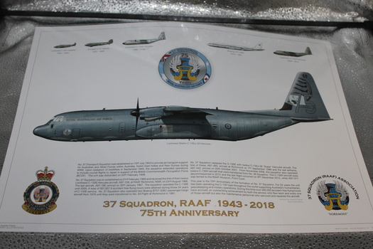 Small coloured image commemorating 37th Squadron. 