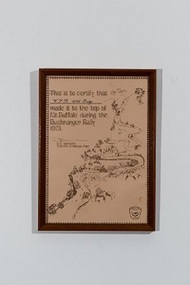 frame picture